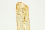 Gemmy Imperial Topaz Crystal - Zambia #208018-1